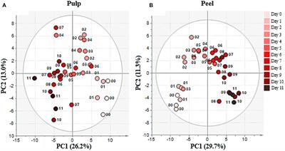 Metabolome Analysis of Banana (Musa acuminata) Treated With Chitosan Coating and Low Temperature Reveals Different Mechanisms Modulating Delayed Ripening